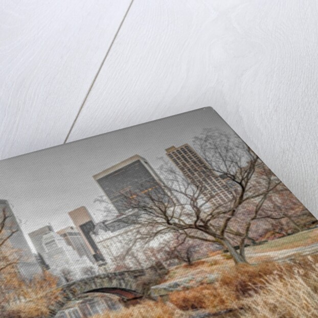 Central park, New York by Assaf Frank